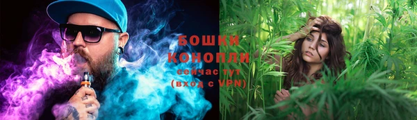 крисы Заводоуковск