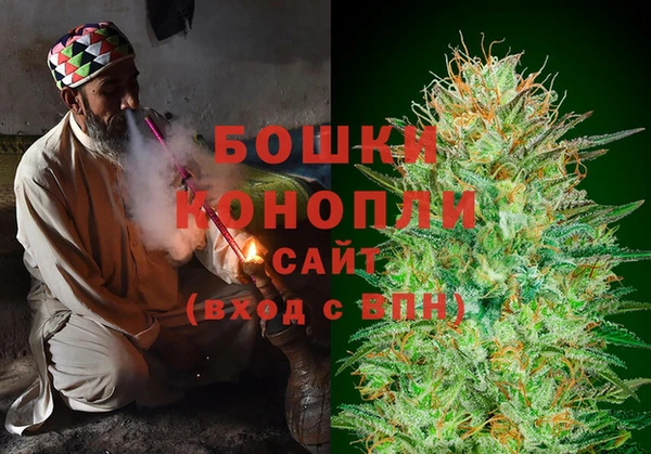 крисы Заводоуковск