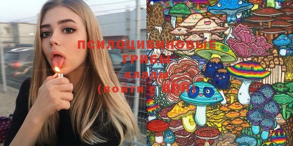 спиды Заволжск