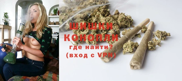 крисы Заводоуковск
