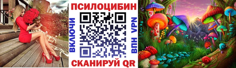 Псилоцибиновые грибы прущие грибы  Купить  Горняк 
