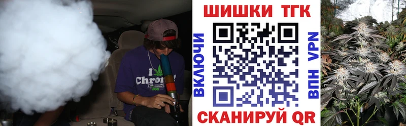 Купить закладки  Горняк  Канабис сатива 